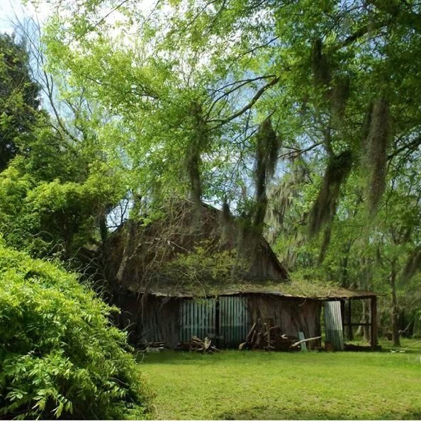 IMG_20140415_223652.jpg image